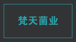 食品行业宿迁宿城区工作服设计款式